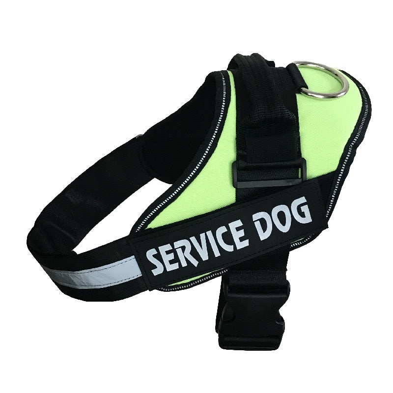 AnyWags Light Green Dog Harness with Adjustable Breathable Pet Vest 125cm
